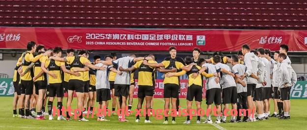 杏彩体育-英超球员退役后去阿联酋养老的现象及原因探讨