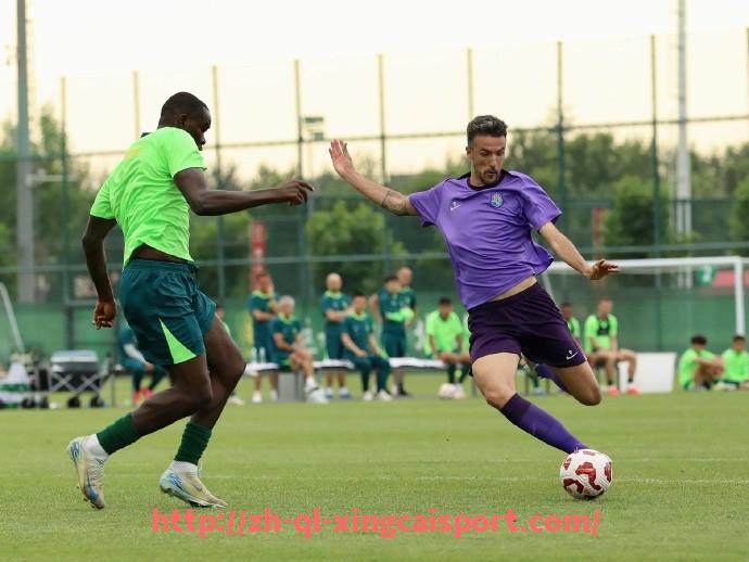 杏彩体育-金元足球前夜：2010中超联赛资本力量初现端倪